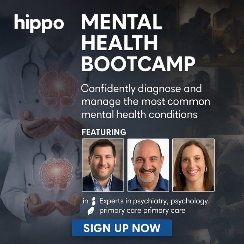 Hippo Mental Health Bootcamp
